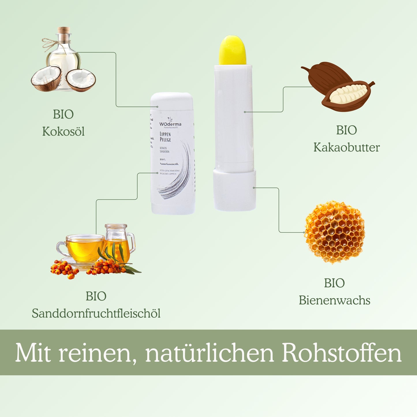 Lippenpflege mit BIO Sanddorn- und BIO Kokosöl - Wild Origins