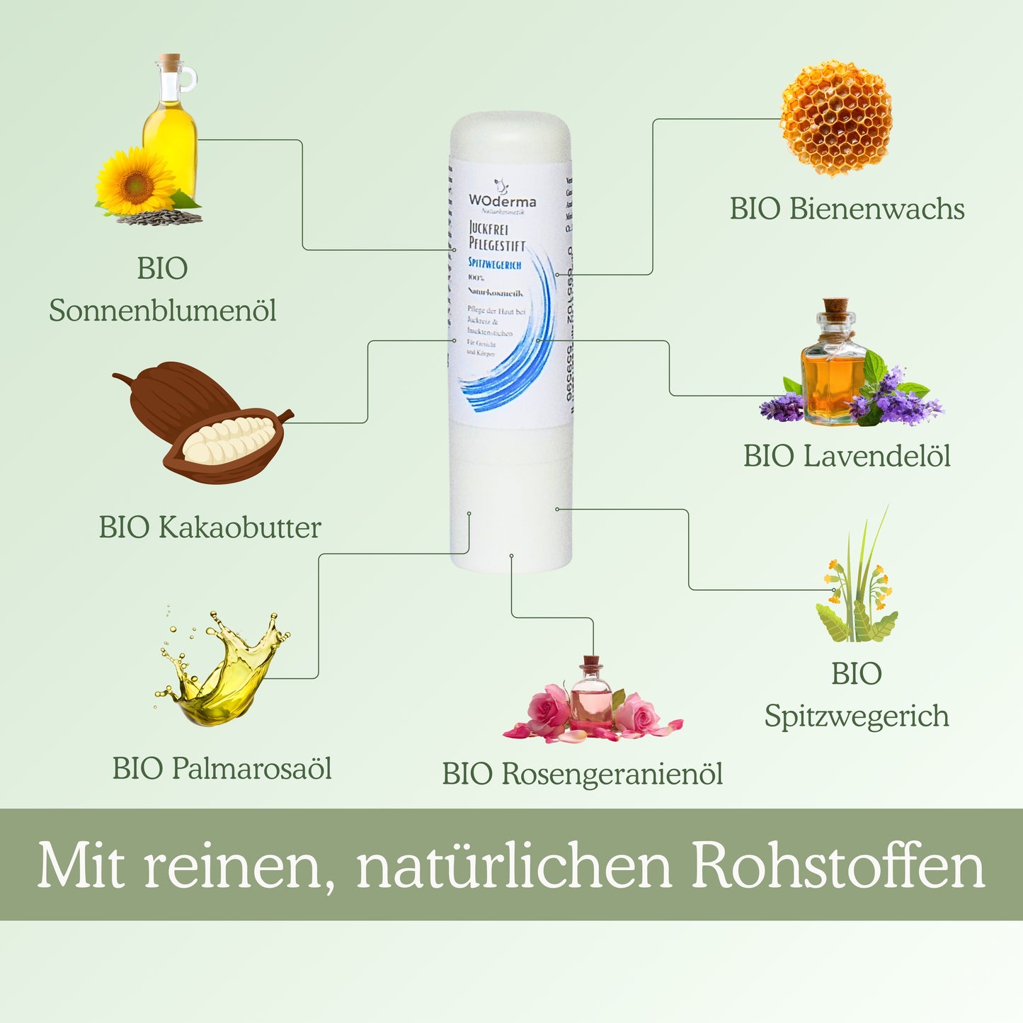 Juckfrei Pflegestift mit BIO Spitzwegerich - Wild Origins