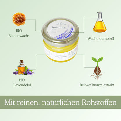 Beinwellsalbe mit BIO Lavendel - Wild Origins