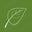 Wild Origins logo